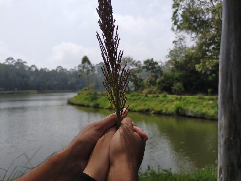 Pendamping hidup yang ideal