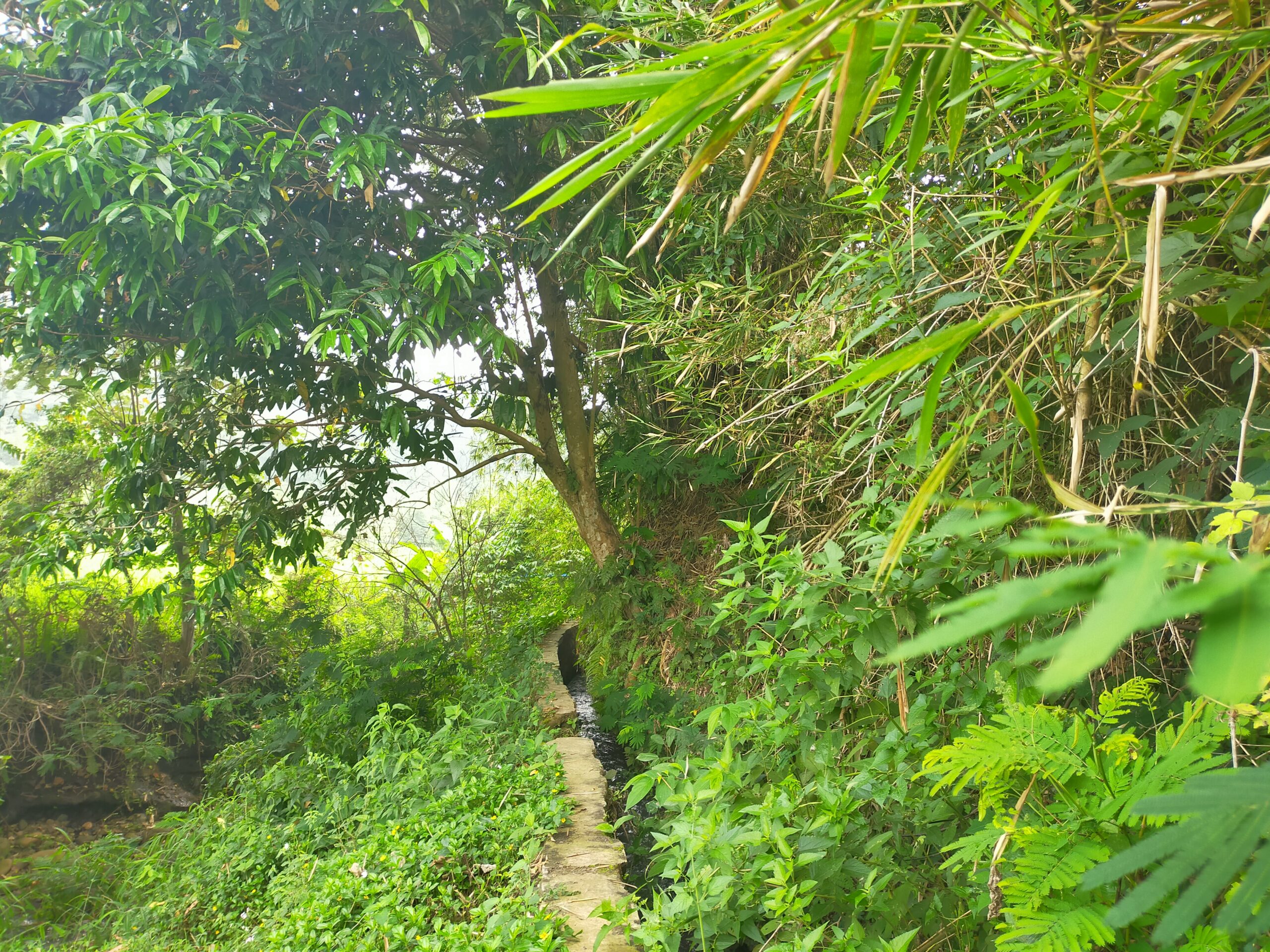 Keindahan alam Desa Cikawao Kecamatan Pacet