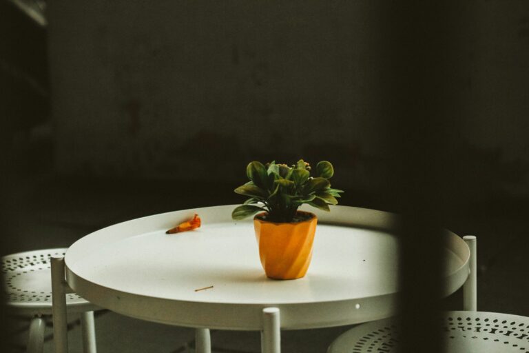 aviv-rachmadian-0hRr7eN4uHY-unsplash