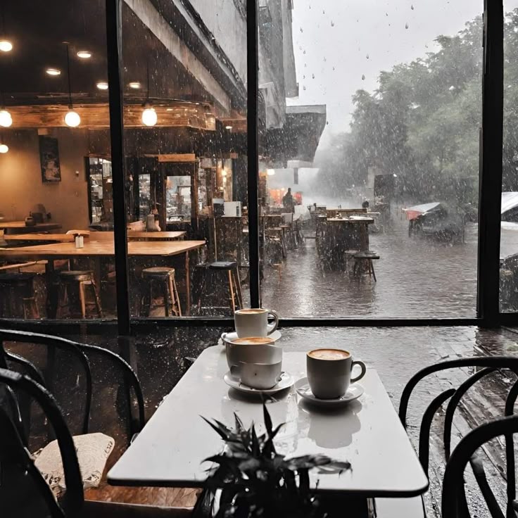 kedai kopi