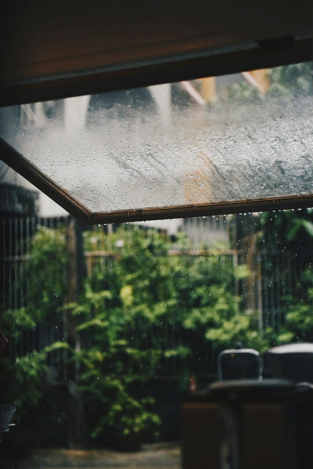 suhyeon-choi-HCDugQDdtfc-unsplash