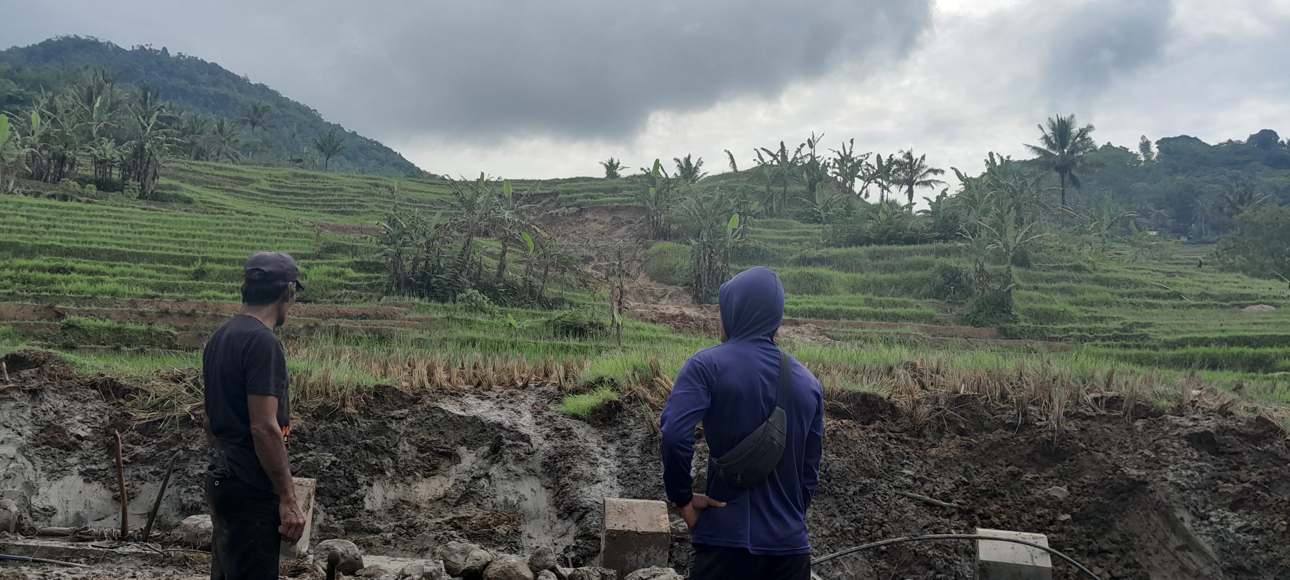 Gotong royong