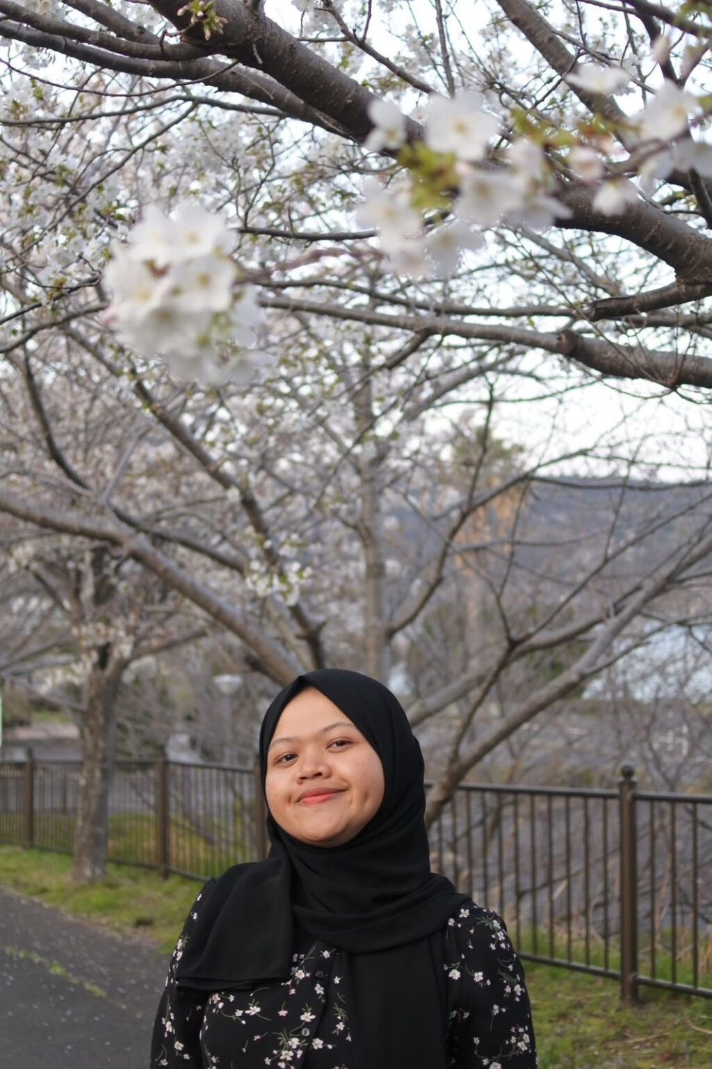 Pendidikan