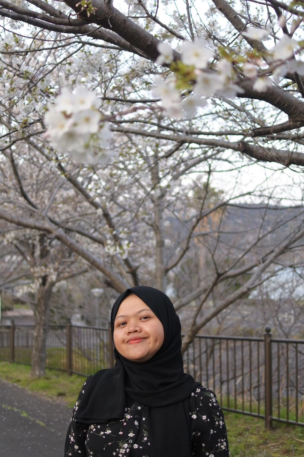 Pendidikan