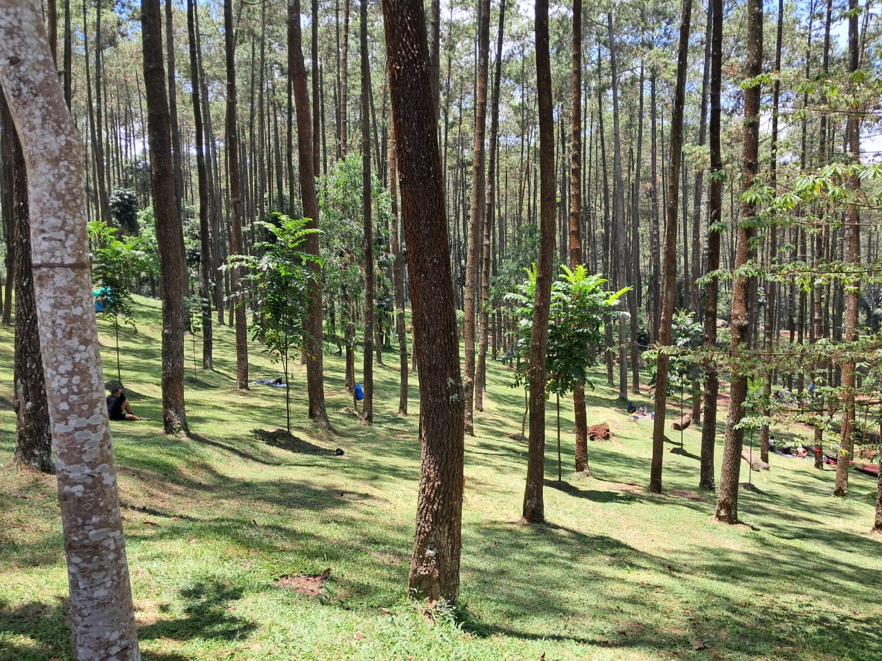Batu Kuda