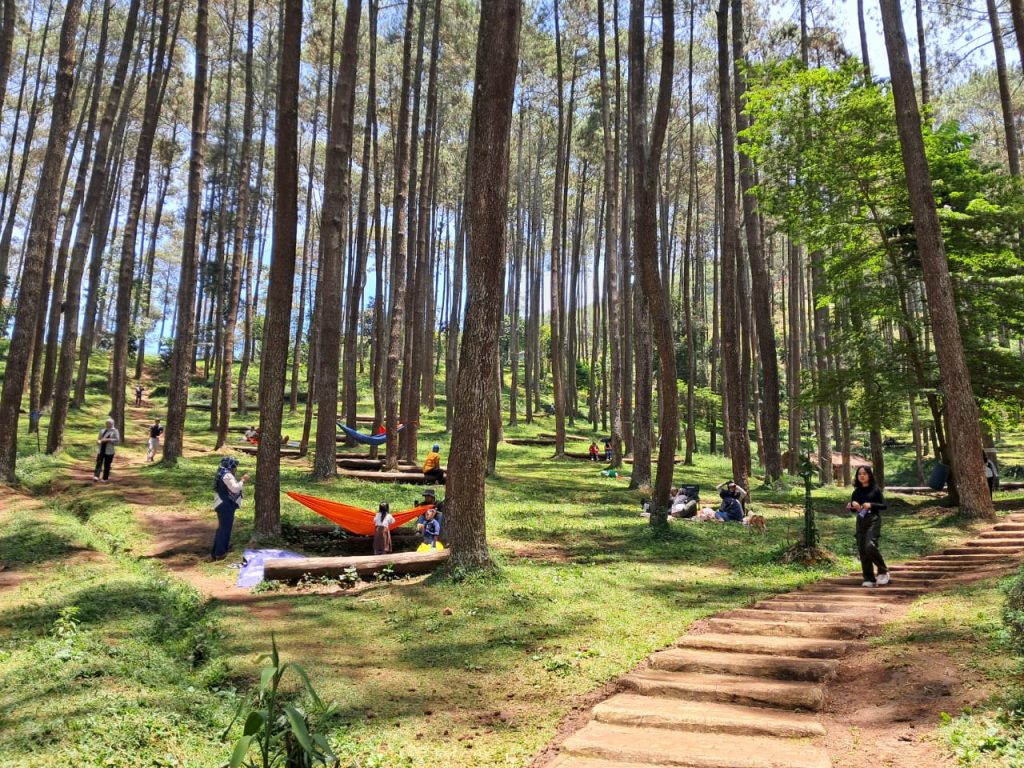 Wana Wisata Batu Kuda