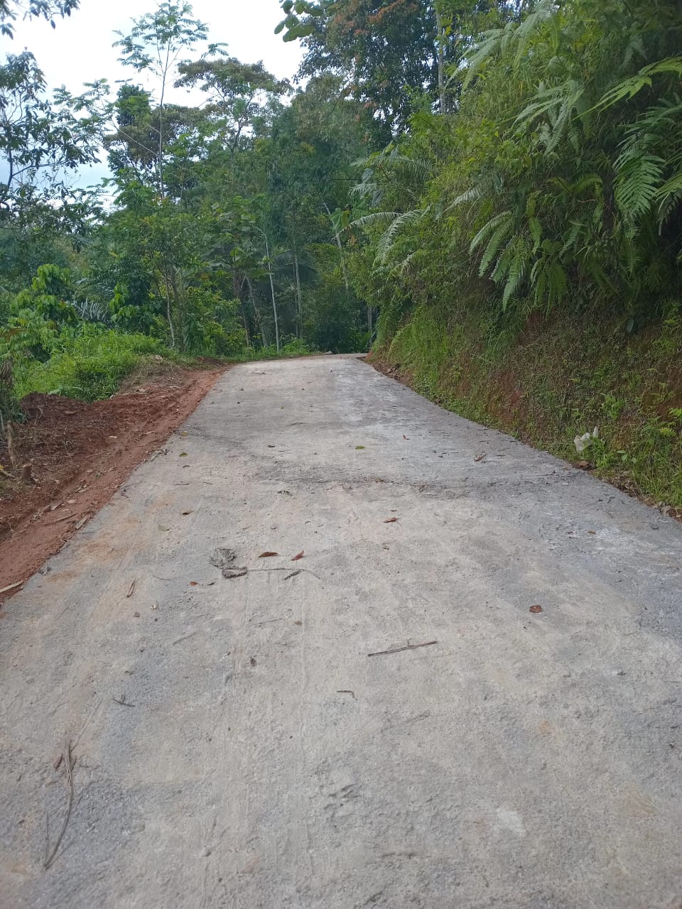 Jalan