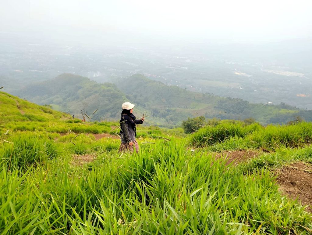 gunung pangradinan