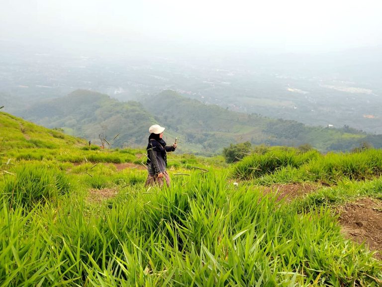 gunung pangradinan