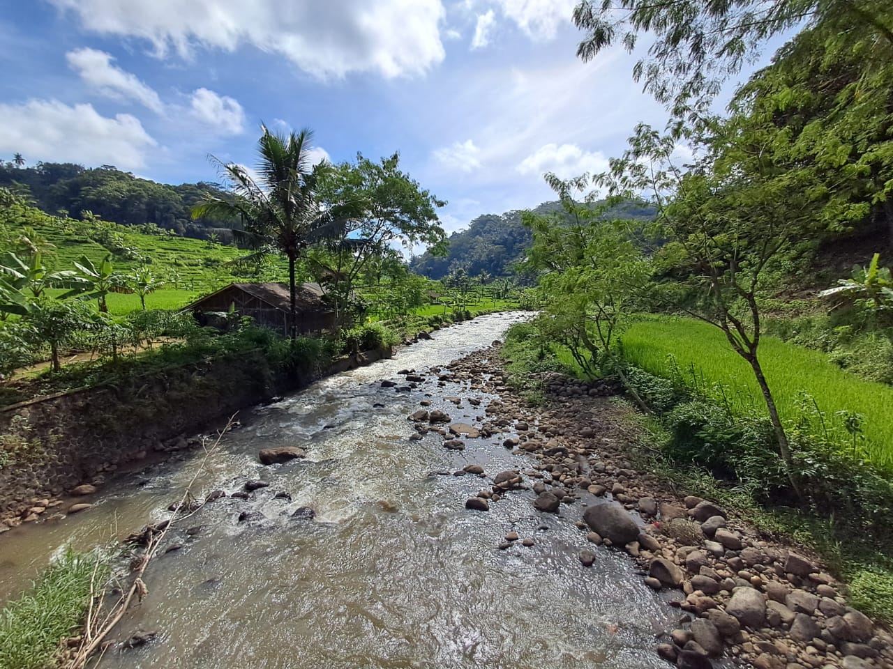 kampung halaman