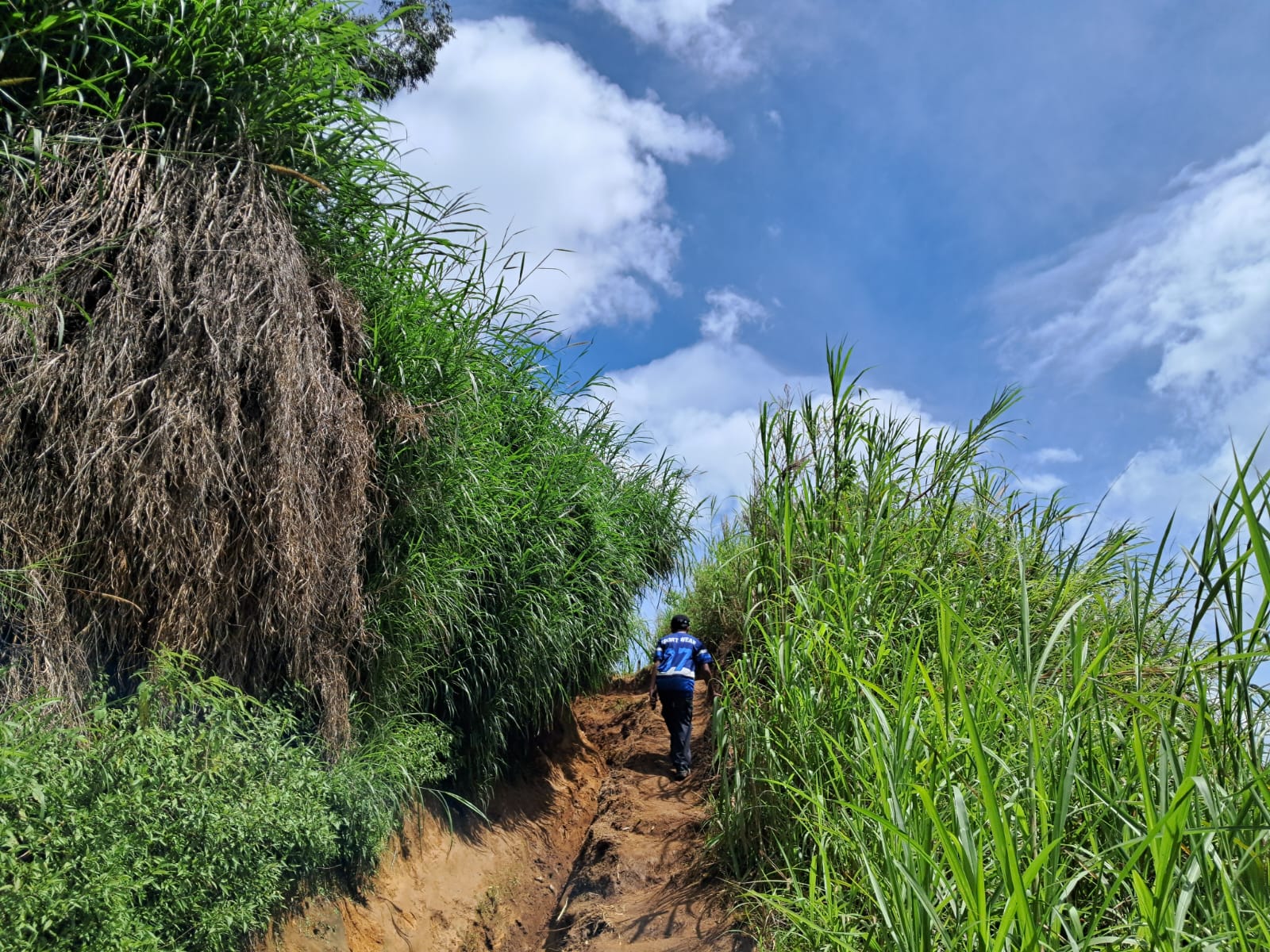 puncak artapela