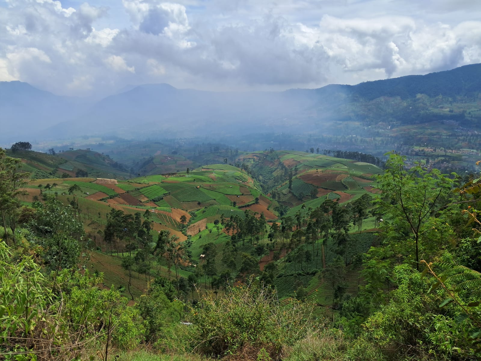 Puncak artapela