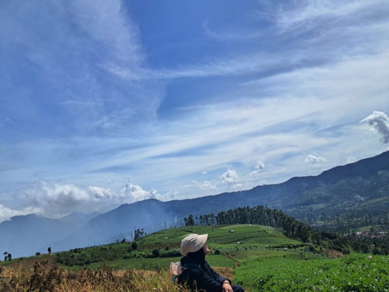 Puncak Artapela
