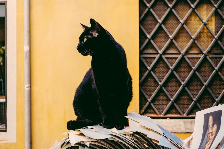 nathan-riley-_ir1D49PRqM-unsplash