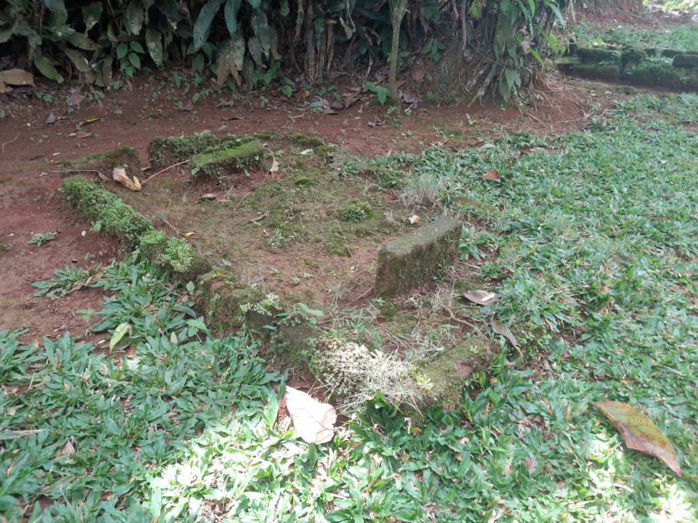 rumah