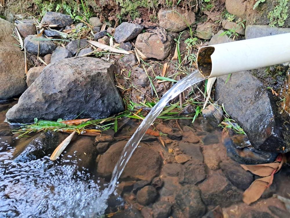 menjaga bambu menjaga air